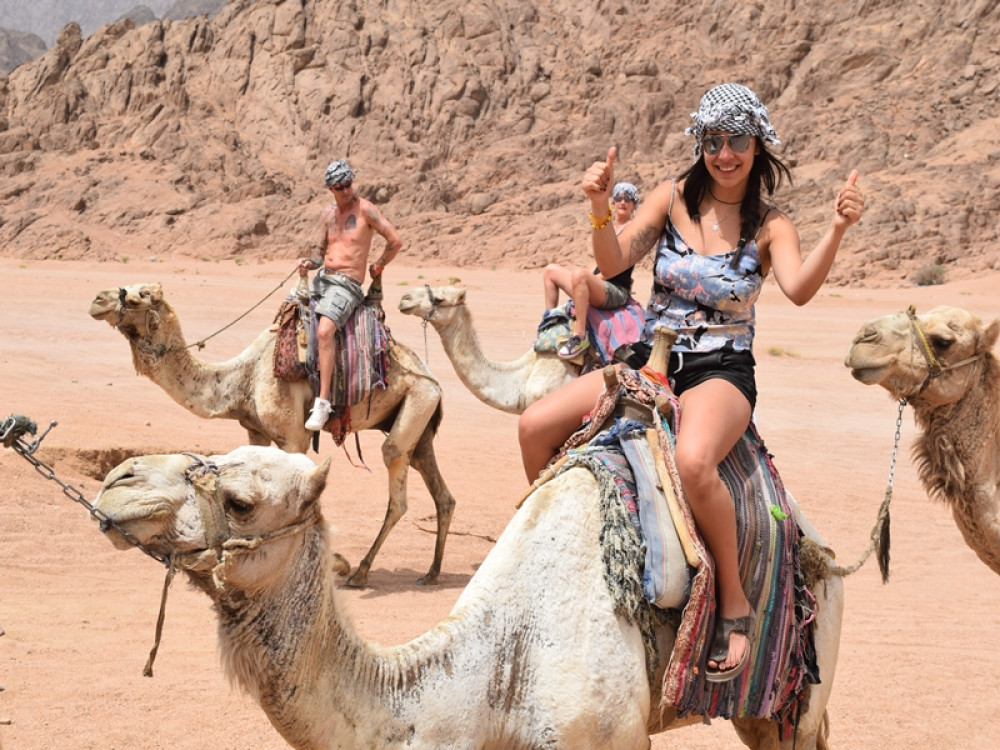 1 Hour Camel Ride in the Wonderful Desert of Hurghada