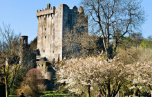 Irish Day Tours5