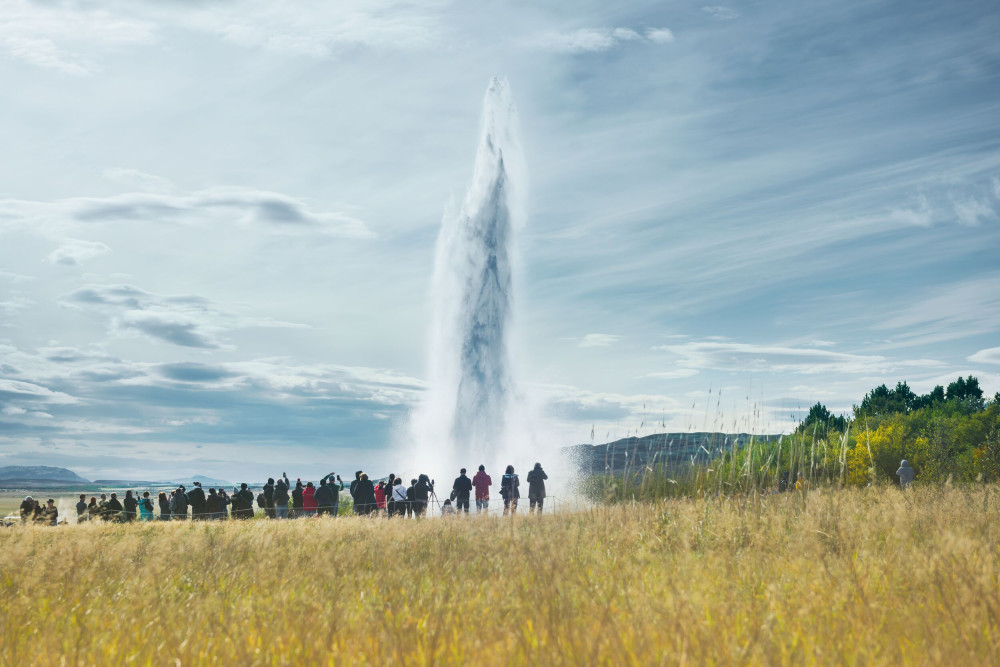 The Golden Circle & Friðheimar Greenhouse