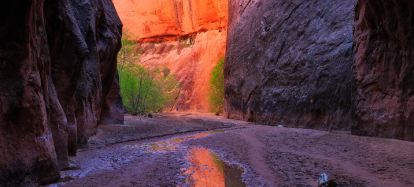Buckskin Gulch Tour Middle Route