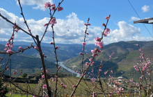 Meridian4People - Portugal & Spain1