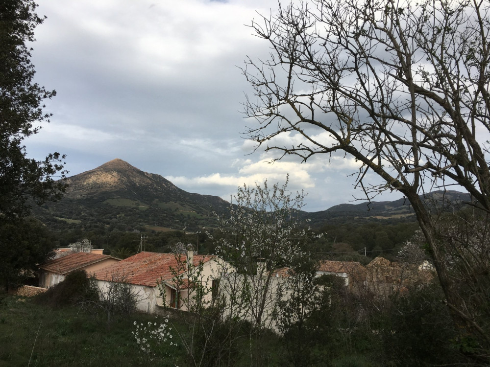 Sardinian Pasta Workshop in an Ancient Village in Olbia