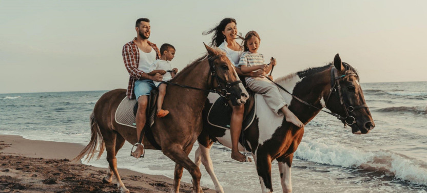 Swimming By Horse in Red Sea, 3-Hours Tour Sea & Desert - Hurghada