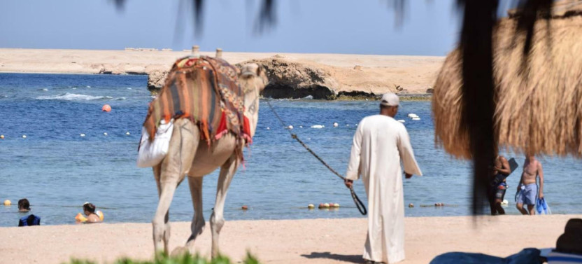 Sharm El Naga Day Snorkeling Trip & Lunch By Car - Hurghada