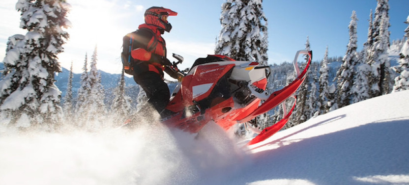 Snowmobiles and Huskies in Lapland