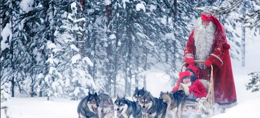Snowmobiles and Huskies in Lapland