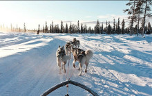 Nordic Unique Travels3