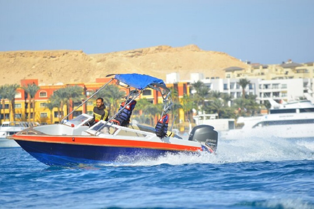 Swim With Dolphins By Semi Private Speedboat & Transfer - Hurghada
