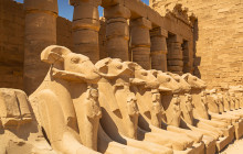 Your Trips Guide1