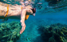 Your Trips Guide10