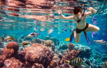 Your Trips Guide13