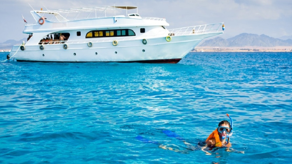 Tiran Island Full Day Snorkeling Sea Trip, Lunch & Transfer-Sharm El Sheikh