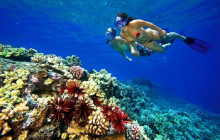 Your Trips Guide6