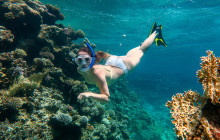 Your Trips Guide12
