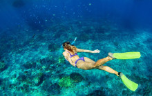 Your Trips Guide13