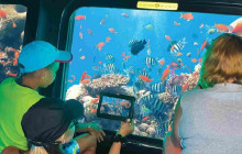 Your Trips Guide4
