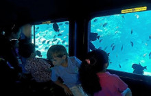 Your Trips Guide12