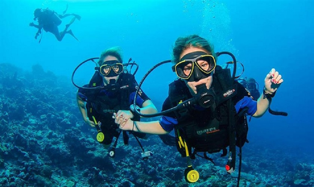 Full Day Scuba Diving Experience for Beginners & Lunch - Sharm El Sheikh