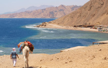 Your Trips Guide8
