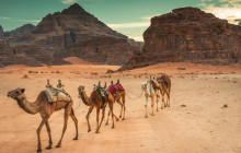 Your Trips Guide10