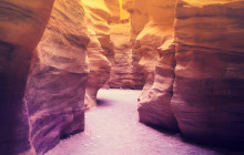 Your Trips Guide12