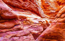 Your Trips Guide14