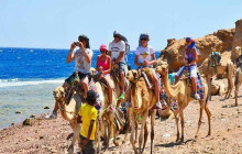 Your Trips Guide16