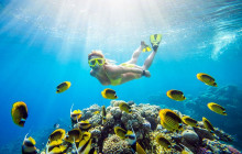 Your Trips Guide17