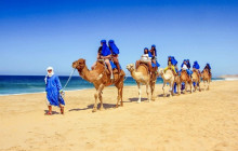 Your Trips Guide19