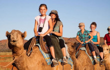 Your Trips Guide13