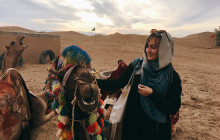Your Trips Guide15