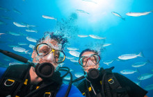 Your Trips Guide10