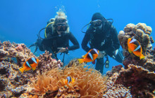 Your Trips Guide15