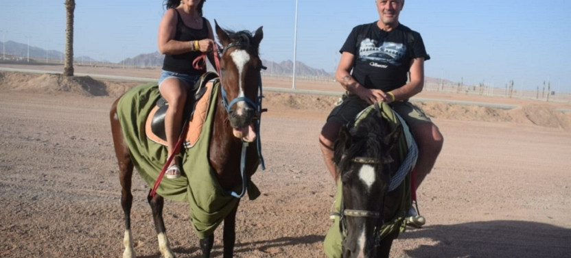 2-Hour Horse Riding Desert Experience With Transfer - Sharm El Sheikh