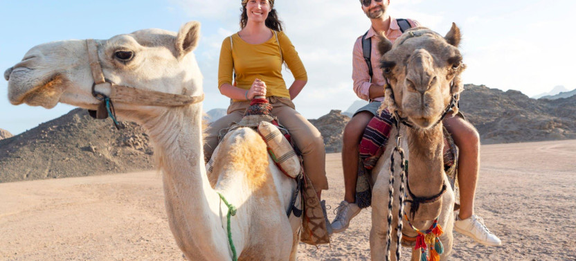 1-Hour Camel Ride: Experience the Magic of the Desert - Sharm El Sheikh