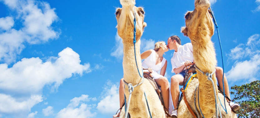 1-Hour Camel Ride: Experience the Magic of the Desert - Sharm El Sheikh