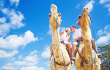 Your Trips Guide2