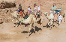 Your Trips Guide3