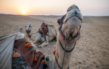 Your Trips Guide6