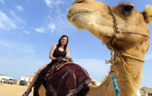 Your Trips Guide4