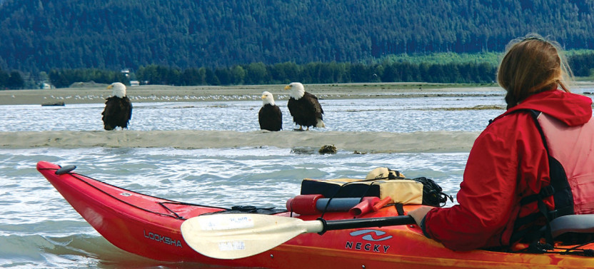 Glacier View Sea Kayaking