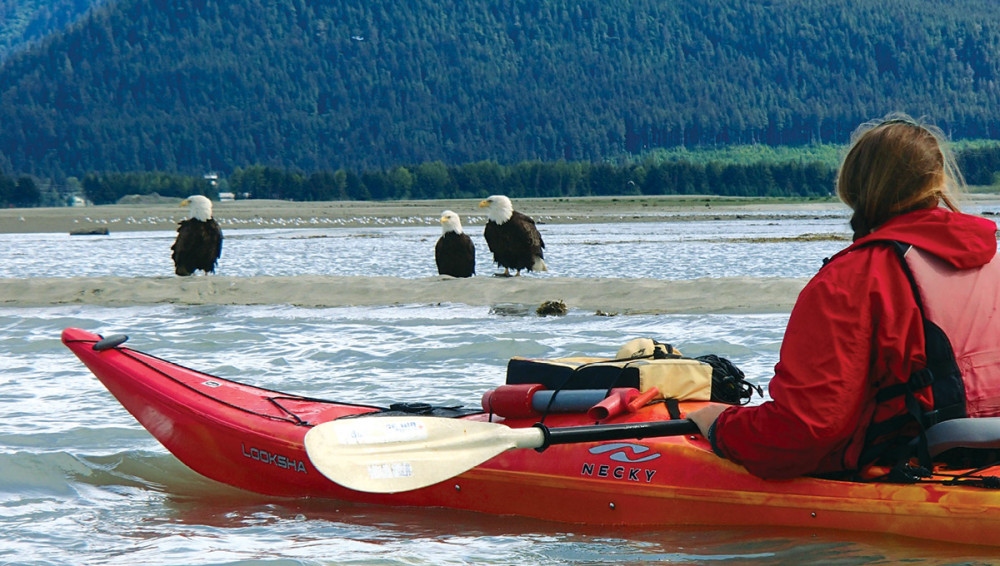 Glacier View Sea Kayaking Juneau Project Expedition