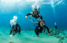 Your Trips Guide14
