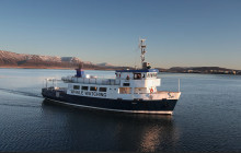 Your Friend in Reykjavik2