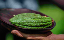Hawaii Cacao LLC13
