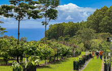 Hawaii Cacao LLC16