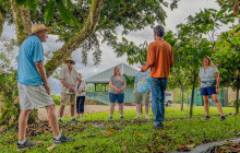 Hawaii Cacao LLC17