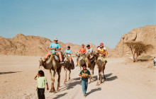 Your Trips Guide11