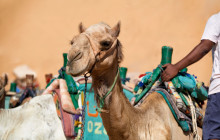 Your Trips Guide5