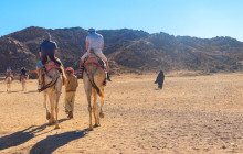 Your Trips Guide12
